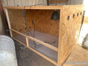 OSB Terrarien  Bild 2