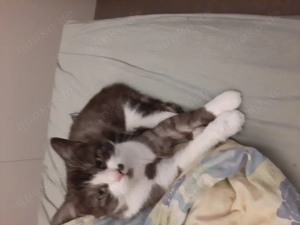 Cindy Crowford 3,5 Jahre alt