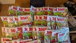 Das Gallische Dorf von Asterix