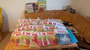 Das Gallische Dorf von Asterix Bild 4