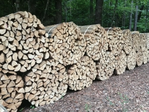 Brennholz - Weichholz gemischt 