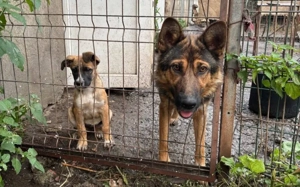 Kleine Kämpferin Lumina will sich in dein Herz kämpfen Bild 7