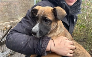 Kleine Kämpferin Lumina will sich in dein Herz kämpfen Bild 4