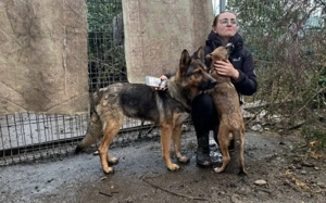 Kleine Kämpferin Lumina will sich in dein Herz kämpfen Bild 8