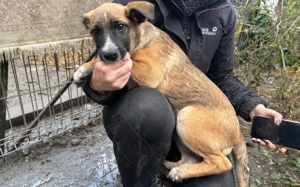 Kleine Kämpferin Lumina will sich in dein Herz kämpfen Bild 3