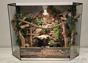 Glasterrarim Sonderanfertig 