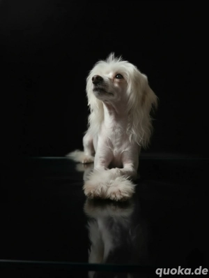 Plätzchen fürs Leben