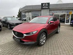 Mazda CX-30 L SKYACTIV-X 2.0 M Hybrid 6AG AL-SELECTION A18-B A