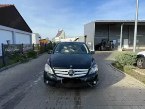 Mercedes-Benz B 250 B 250 4MATIC Standheiz Kamera