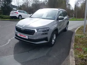 Skoda Karoq Bild 3
