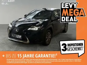 Lexus UX 300e UX 300 e Basis +LED+CarPlay+Eletkrische Sitze+
