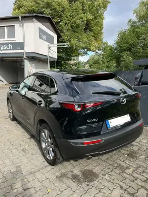 Mazda CX-30 M-Hybrid 150PS SELECTION, Design-Paket, 8f-bereift Bild 2