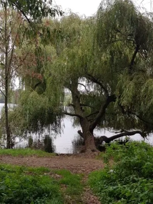 Er sucht sie für Abenteuer 