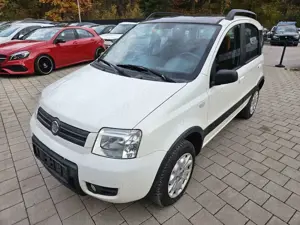 Fiat Panda 1.2 8V Climbing 4X4