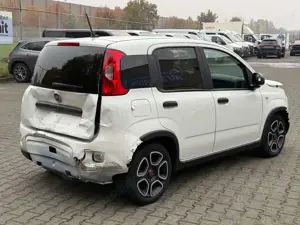 Fiat Panda 1.0 Hybrid PDC Klima Bild 5