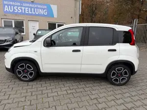Fiat Panda 1.0 Hybrid PDC Klima Bild 3