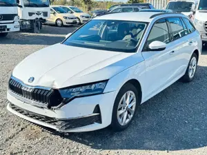 Skoda Octavia Bild 1