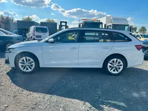 Skoda Octavia Bild 5