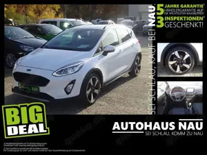 Ford Fiesta 1.0 Active Inspektionspaket BigDeal!
