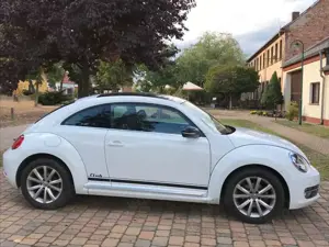 Volkswagen Beetle Bild 4