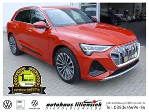 Audi e-tron 55 quattro 300KW S line *AHK*LED*Leder*