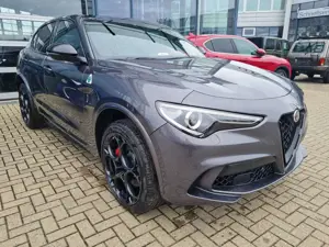 Alfa Romeo Stelvio Quadrifoglio Quadrifoglio 2.9 V6 ASS LM21 Bild 5