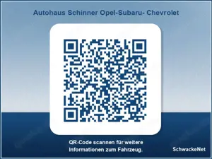 Opel Grandland Plug-in-Hybrid 1.6 DI Automatik GS Line Bild 4