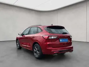 Ford Kuga 1.5 EcoBoost ST-LINE Bild 3