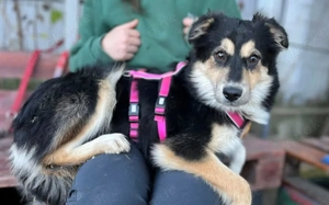 Themis wartet auf ihre Familie