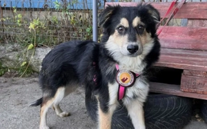 Themis wartet auf ihre Familie Bild 3