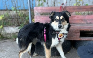 Themis wartet auf ihre Familie Bild 2