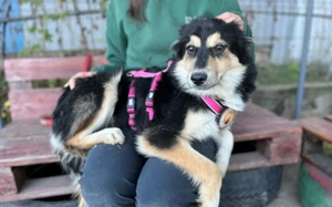 Themis wartet auf ihre Familie Bild 5