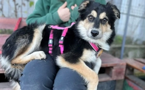 Themis wartet auf ihre Familie Bild 4