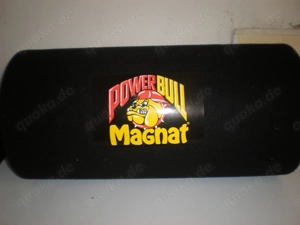 30er Magnat Subwooferröhren