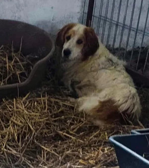 Nemo - bist du der Mensch der ihn versteht? Bild 7