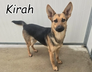 Möchtest du Kirah zeigen, wie schön ein richtiges Zuhause sein kann?