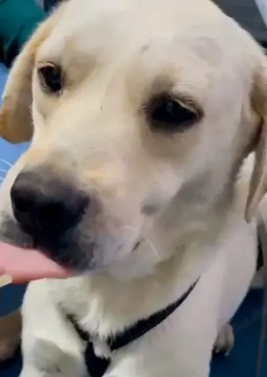 Monja braucht dringend ein endgültiges Zuhause