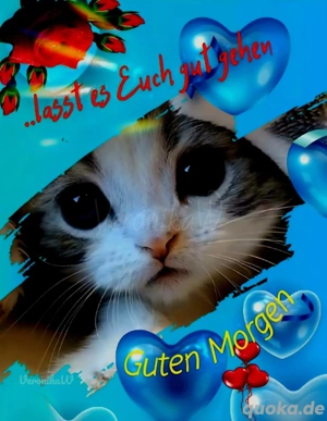 ich suche was zum putzen bei. einen älteren Herrn am waldfriedof 