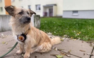 Ylwie ist ein echter Hauptgewinn