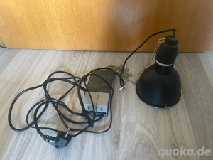 Bright control EVO 70 W mit Hängeleuchte von Lucky Reptile