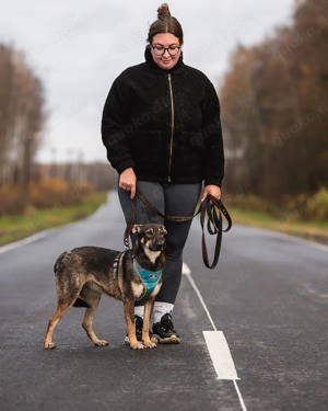Olivka - ein sanftes, liebevolles Herz auf der Suche nach seinem Zuhause