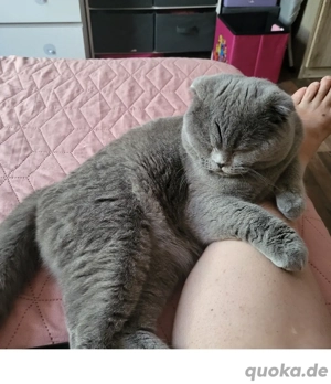 Michel sucht neue Familie