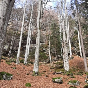 Workshop Entspannungstechniken