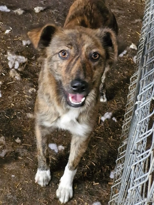 Bezaubernde Liora sucht ihr Glück 