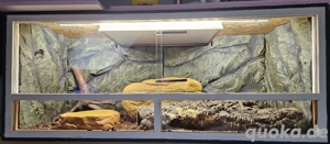 Terrarium 120x50x50 mit Thermostat, Heatpanel etc. (Königspython)