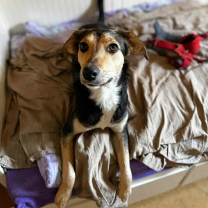 Polly - wartet auf 2.Chance