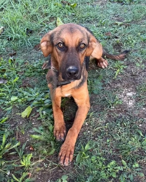 Die  zauberhafte Lilo sucht das Glück  Bild 4