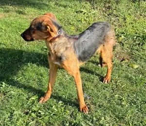 Die  zauberhafte Lilo sucht das Glück  Bild 5