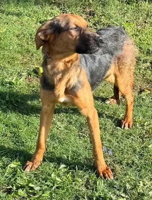 Die  zauberhafte Lilo sucht das Glück  Bild 3