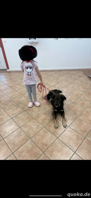 Suche kleine Schwester